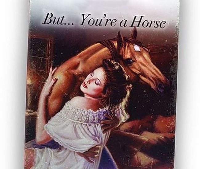 But… You’re A Horse Romance Novel