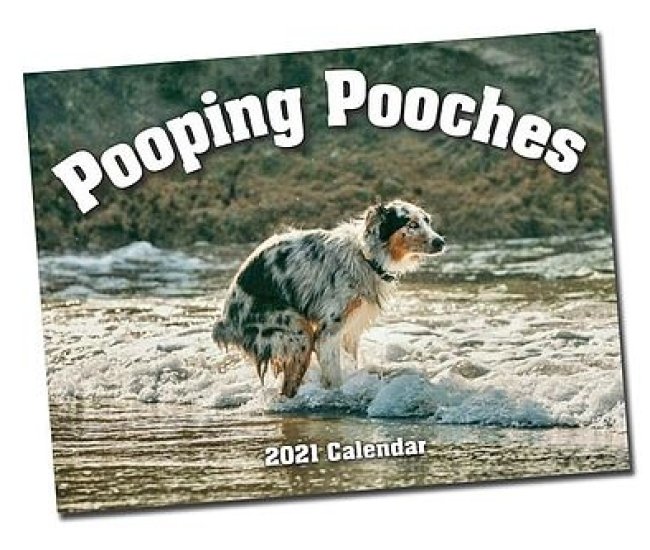 Dogs Pooping Calendar ChunkyFinds Find Your Chunky Products!