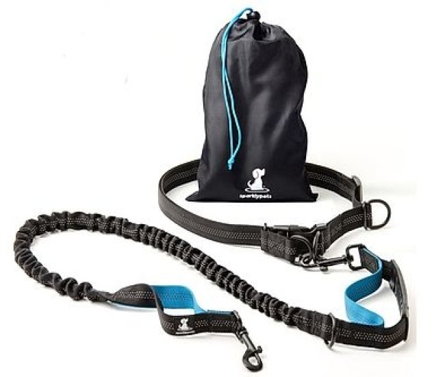 Hands-Free Dog Leash for Running