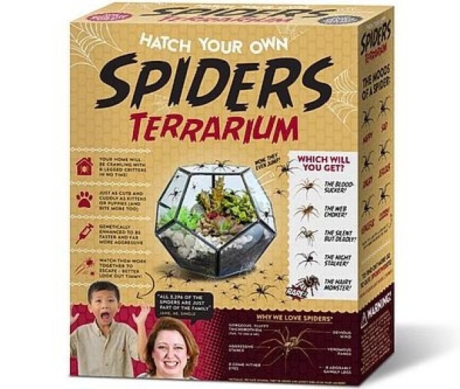 Hatch Your Own Spiders Terrarium