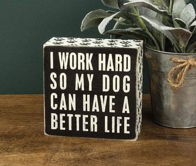 I Work Hard So My Dog Can Have a Better Life Decor