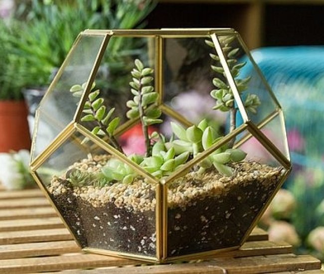 Mini Brass Glass Geometric Succulent Planter