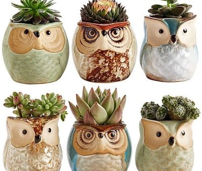 Owl Ceramic Planter Pots
