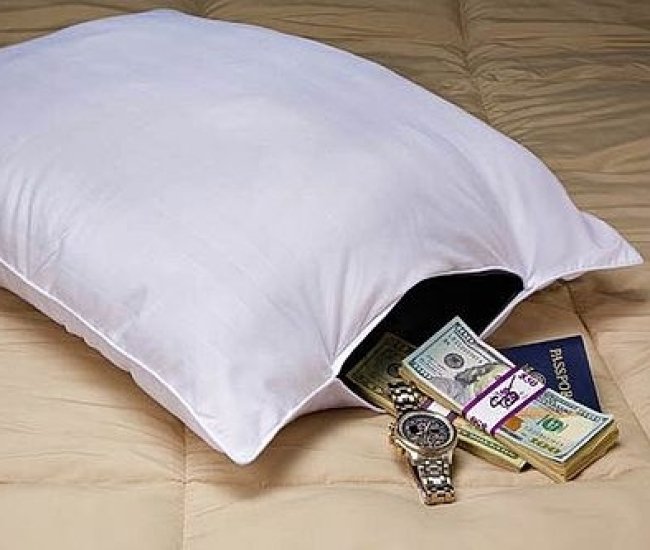 Secret Compartment Pillow Safe