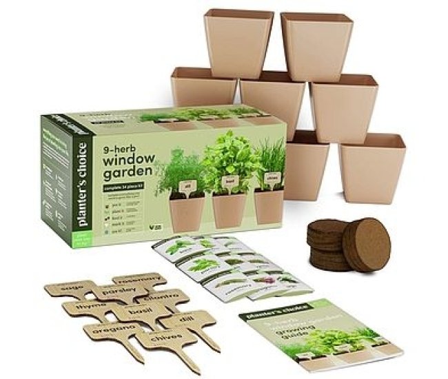 Window Herb Garden Starter Kit