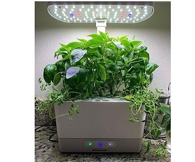 AeroGarden Herb Growing Kit