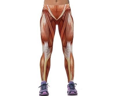 Anatomical Muscle Leggings