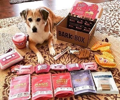 BarkBox The Subscription Box For Dogs