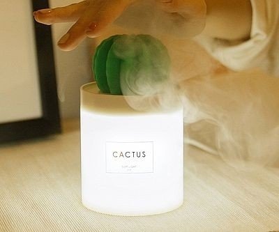 Cactus Shaped Desk Humidifier