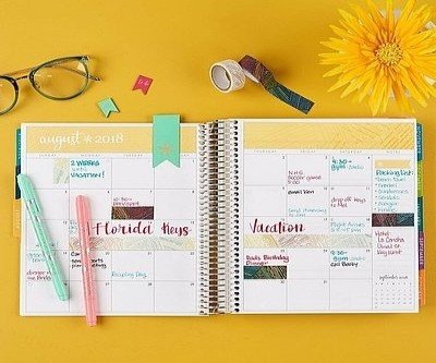 Erin Condren 12-Month Calendar Planner