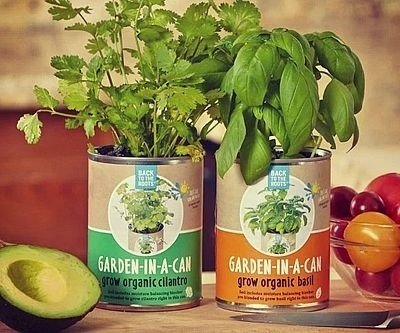Garden In A Can