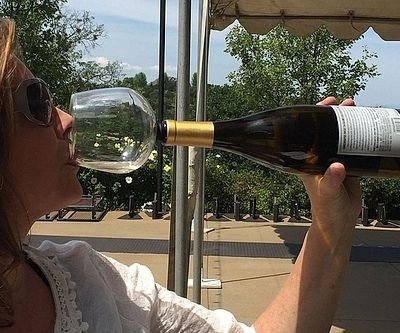Guzzle Buddy Wine Bottle Topper
