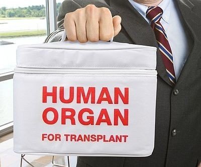 Human Organ Lunch Tote