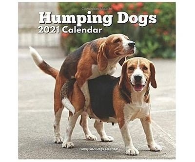 Humping Dogs Calendar