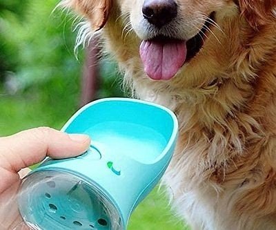 Leakproof Dog Water Bottle