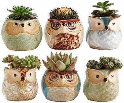 Owl Ceramic Planter Pots