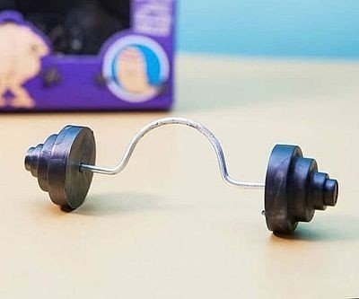 The Willy Exerciser